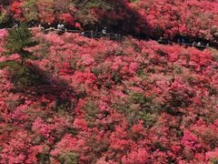 -木兰云雾山