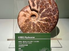 -甘肃省博物馆