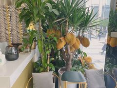 -猫王榴莲世家(三里屯SOHO商场店)