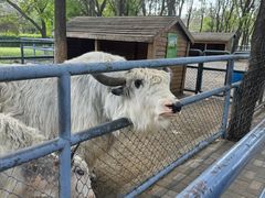 -长白岛森林公园