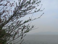 -东钱湖旅游度假区