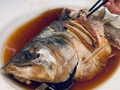 清蒸鲥鱼-上海小南国(金桥国际广场店)
