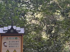 -西双版纳原始森林公园