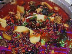 -晓彭肥肠鸡·泡椒鸡火锅(水木天地店)