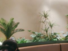 -奈雪的茶(广州万菱汇PRO店)