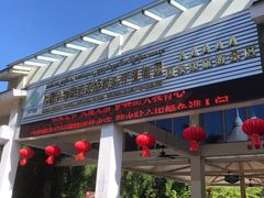 -中国科学院西双版纳热带植物园