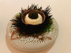 北海道海胆-Odette