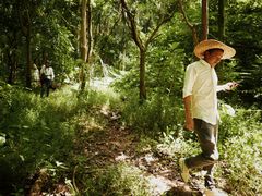 -火炉山森林公园