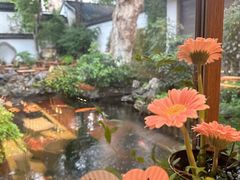 -鲤院·新中式美学·庭院餐厅(夫子庙店)