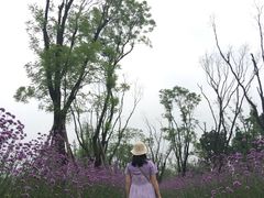 -白鹭湾湿地公园