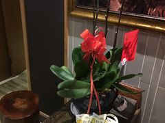 -静 泰养生(黄金城道店)