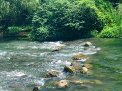 -贵阳市花溪国家城市湿地公园