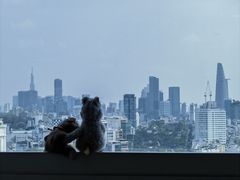 -西贡日航酒店