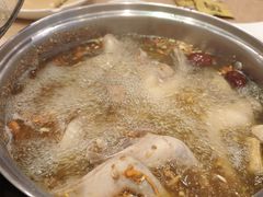 -百利鸽王(紫薇路店)