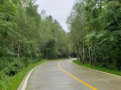 -五营红松林海景区