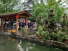 -源泉冷水鱼庄(小鱼洞店)