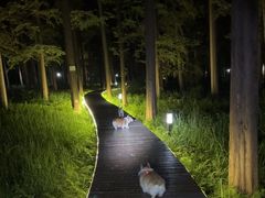 -上海怡沁园度假酒店