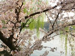 -苏堤停车场