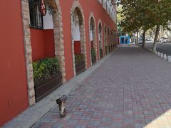 -青岛大学路小学