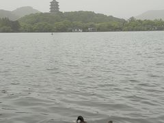 -西湖游船