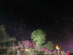 -常德桃花源景区