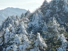 -浙西天池-售票处