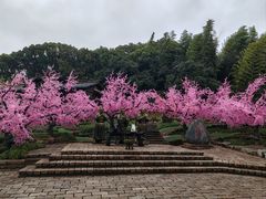 -三国水浒景区(无锡影视基地)