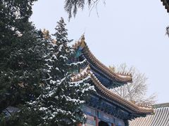-北京国子监胡同