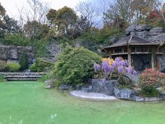 -吴淞炮台湾湿地森林公园烧烤区