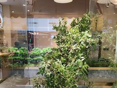 -吴家·非遗淮扬小馆(镇江万达广场店)
