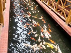 -侠成水上农庄(工业大道店)