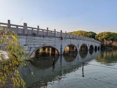 -昆山城市生态森林公园