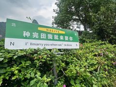 -明仕田园
