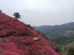 -木兰云雾山
