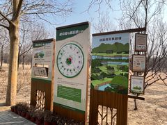 -大望京公园
