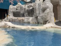 -中铁花水湾温泉酒店(大邑店)