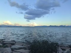 -深圳湾公园(南山区)