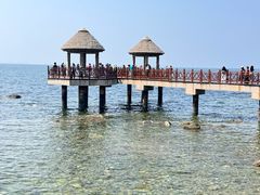 -养马岛旅游度假区