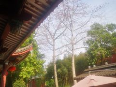 -乌山风景区