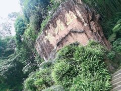 -峨眉山报国寺