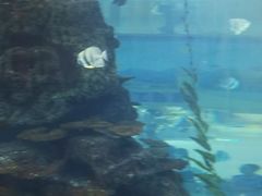 -鸿通城购物中心