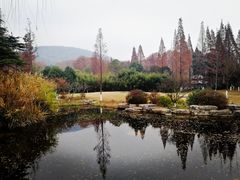 -习家池