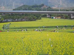 -光明小镇欢乐田园