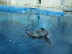 -太平洋海底世界