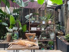 -云里小坐·小院里·团建·宴请·下午茶(三圣乡店)