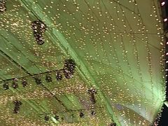 -船长9号·精致湖北菜(江滩店)