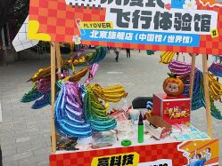 -飞览天下沉浸式飞行体验(北京旗舰店)
