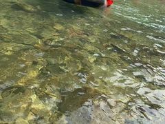 -香江大丰水峡谷漂流
