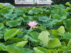 -千龙湖生态旅游度假区