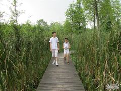 -溱湖国家湿地公园